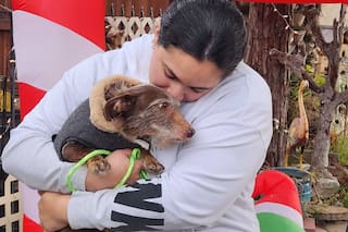 Milagro de Navidad para un perrito de California: apareció en otro estado