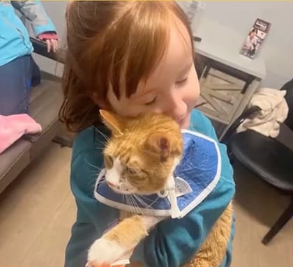 El reencuentro entre la pequeña Hannah y Sunny