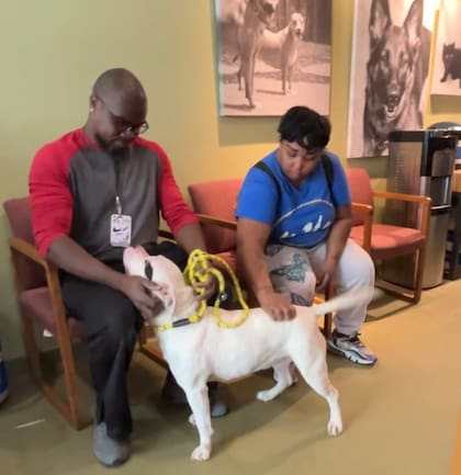 El reencuentro fue emotivo. Las perras se habían escapado accidentalmente de su hogar.