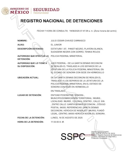 El Registro Nacional de Detenciones muestra la información de llegada a México de Chávez Jr.