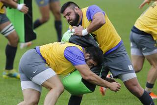 Por qué Mario Ledesma convocó a Herrera a los Pumas pese a la veda de la UAR