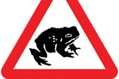 Sapos, vehículos compartidos y material explosivo: las señales de tránsito que casi nadie conoce