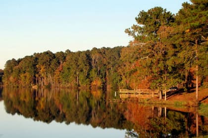 El relevamiento botánico y zoológico corresponde al área del Gran Mekong, cuenca del río que con ese nombre cruza territorios de China, Vietnam, Tailandia, Laos, Birmania y Camboya