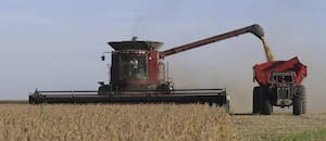 El 63% de los productores considera que es un buen momento para invertir, según una encuesta