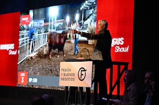 Pagaron $23 millones por el 25% del Gran Campeón Hembra Brangus