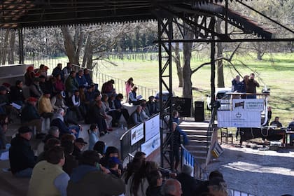 El remate se concretó con el acompañamiento de la consignataria Lartirigoyen & Oromí SA