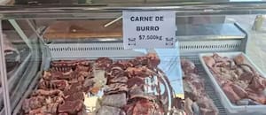 El Gobierno fustigó a un medio alemán que habló del consumo de carne de burro