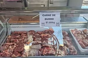 El Gobierno fustigó a un medio alemán que habló del consumo de carne de burro