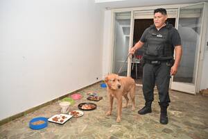 Le robó el perro a su vecina y lo dejó de “guardián” en un departamento vacío; tuvo que rescatarlo la policía