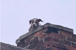 Vieron una cabecita asomar por la chimenea y al descubrir lo que pasaba llamaron a los bomberos