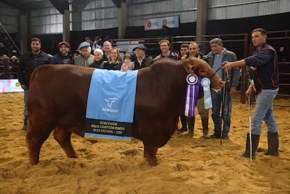 El Reservado de Gran Campeón Macho, de Cabaña El Porvenir