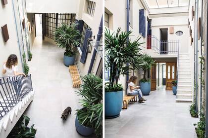 El resultado de la reforma fue un patio más despejado que ya no se moja cuando llueve. Paisajismo: Eugenia Anaya.