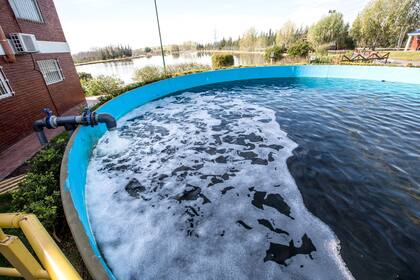 El resultado final es agua limpia que no es potable pero que se puede usar para el riego o la limpieza de máquinas