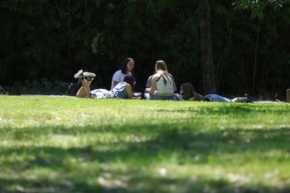 El retiro es solo la primera parte de la experiencia, lo que los coordinadores llaman “la incubación”