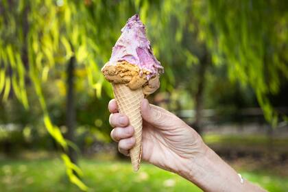 El retiro inicial de los productos se llevó a cabo a finales de junio y afectó a diversas marcas de helado fabricadas por Totally Cool Inc., incluyendo la marca Dolcezza, y ahora fue completada (Archivo)