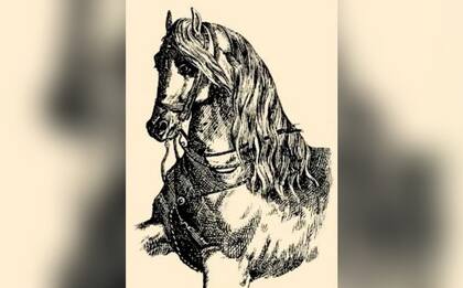El reto visual es encontrar al jinete escondido dentro del dibujo del caballo