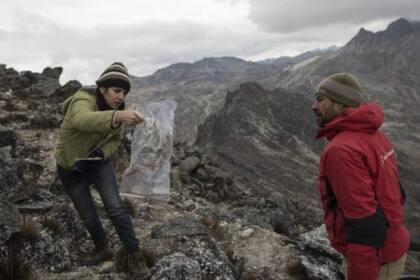 El retroceso del glaciar representó una oportunidad única de hacer un estudio que en los Andes no se había hecho