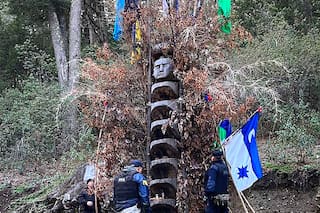 Comenzó un juicio por la ocupación en Mascardi y el Gobierno pidió remover un espacio ceremonial mapuche