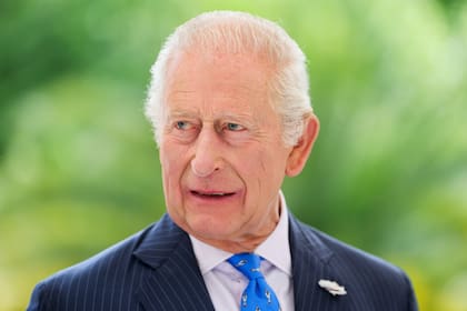 El rey Carlos III de Reino Unido