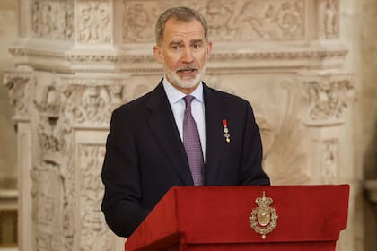 El rey de España Felipe habla durante las conmemoraciones del décimo aniversario de la proclamación del rey de España Felipe VI en el Palacio Real de Madrid, España, el miércoles 19 de junio de 2024.