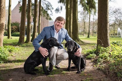El rey Guillermo de Holanda posó junto a sus perros en su retrato oficial para su cumpleaños 51