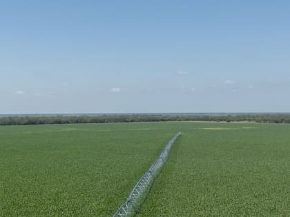 El riego fue una apuesta importante