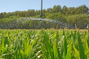 Llegarán US$400 millones para el desarrollo verde: qué proyectos incluirá