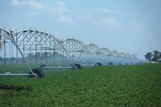 Alimentación. El futuro es igual a más con menos