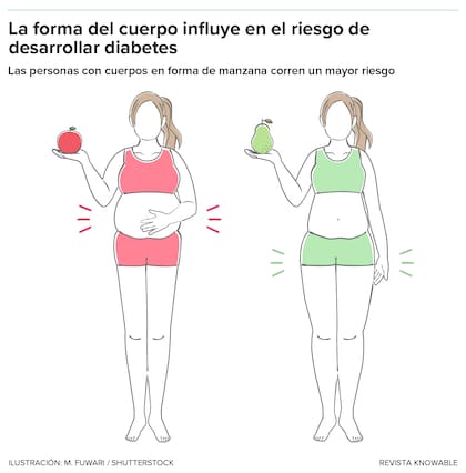 El riesgo de diabetes no solo depende de la cantidad de grasa que se tenga, sino de dónde se tenga