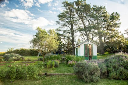 El rincón jardinero de Mercedes Gallardo, bajo el cielo amplio y limpio del campo.