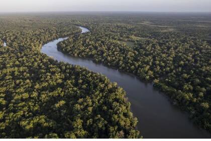 El río Amazonas esta ubicado en América del sur