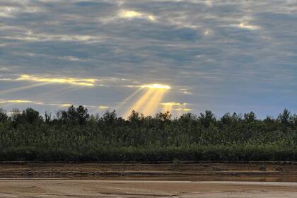 El río Bermejo es parte de la red de afluentes locales donde el agua actúa como eje central de los ciclos de vida