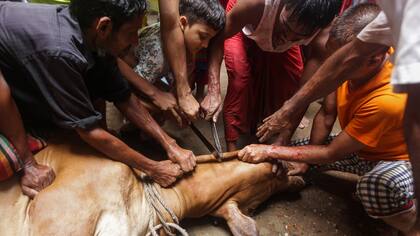 El río de sangre que inundó la India en medio de una festividad islámica