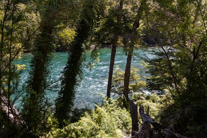 El río Frey, protagonista de la historia de Los Alerces y la disputa con Chile.