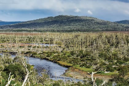El río Irigoyen, punto de referencia del
portal norte.