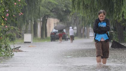 El río Paraná creció 1 centímetro