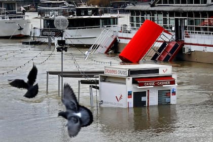 La inundación ha transformado algunos paisajes de París de manera insólita