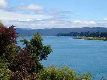 El río Valdivia es famoso por su belleza natural, con numerosas islas y una rica biodiversidad