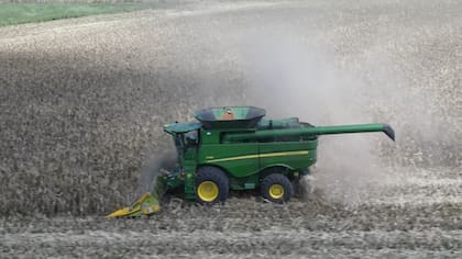 El ritmo de comercialización crece de la mano de una mayor producción y una buena competitividad externa, con fuerte presencia en mercados como Asia, África y Medio Oriente