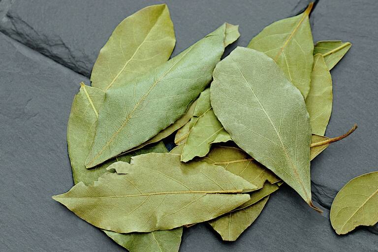 Qué significa el poderoso ritual de Feng Shui que consiste en meter una hoja de laurel dentro de tus zapatos
