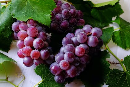 El ritual de las 12 uvas nació en Europa y se expandió por occidente