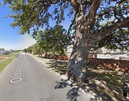 El roble se encuentra en el borde de la calle, cerca de donde pasan los autos (Google Maps)