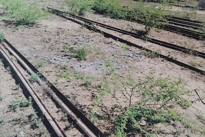 El robo de rieles se daba en el Ramal C-25 del Ferrocarril Belgrano Cargas