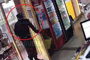 El robo ocurrió en La Plata a plena luz del día