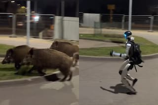 En Polonia le encontraron una insólita solución a un tema que preocupa en la Argentina