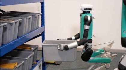 El robot puede trasladar hasta 15 kg de carga y funcionar 24 horas sin descanso, según sus fabricantes.

Foto: Página oficial Agility Robotics