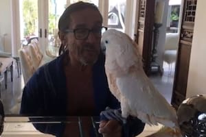 El hilarante saludo de Iggy Pop para Halloween