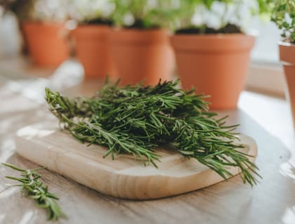 El romero atrae claridad mental, limpia las energías y trae prosperidad
Foto: iStock
