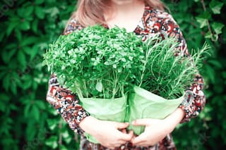 Memoria y concentración: la hierba que las refuerza y es clave