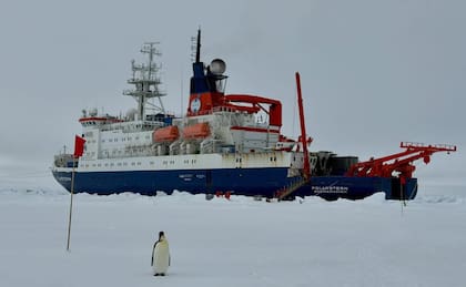 El rompehielos Polarstern permite a los científicos llegar hasta los lugares más inaccesibles (Foto: Instituto Alfred Wegener)